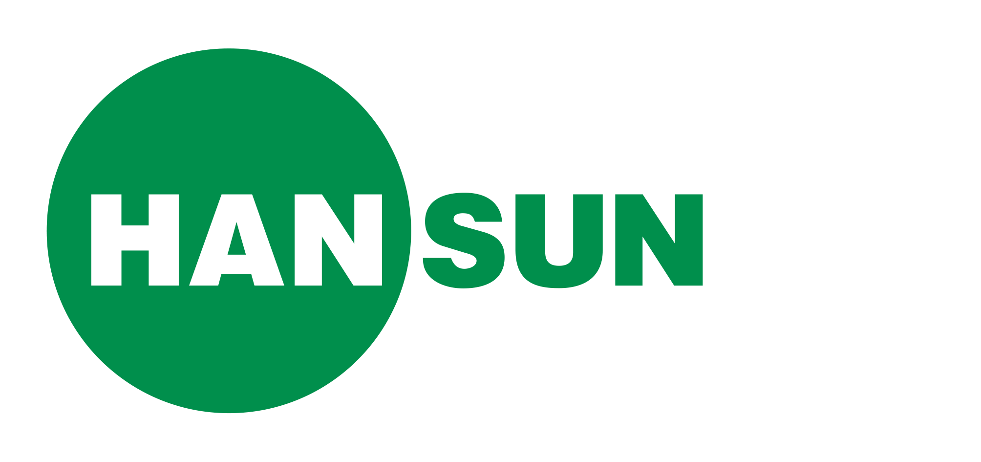 hansun logo